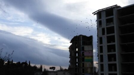 Rose je sens partir quelque chose